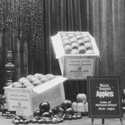 Mayerdale Orchard
